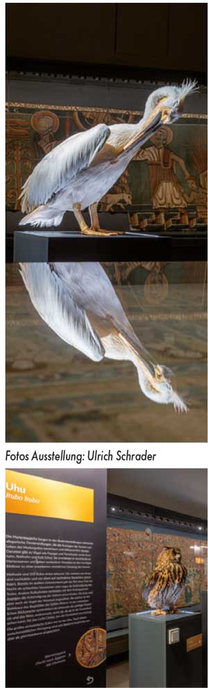 Stoffe mittelalterlicher Vogelwelten Halberstadt